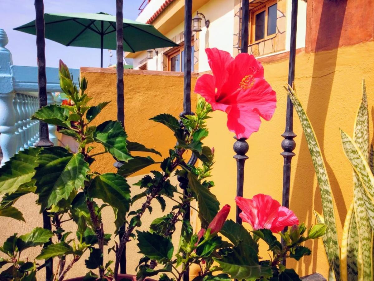 Apartamentos San Jose Valle Gran Rey Eksteriør bilde